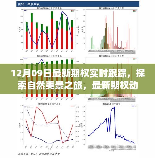 最新期权动态下的自然美景探索与心灵宁静之旅（实时跟踪报道）