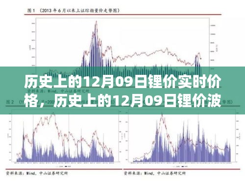 深度解析，历史上的12月09日锂价波动与实时价格走势背后的观点碰撞