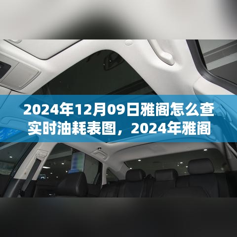 2024年雅阁实时油耗表图查看指南，操作指南与步骤