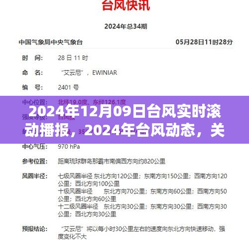 台风动态播报，深入解析台风实时滚动播报与最新动态