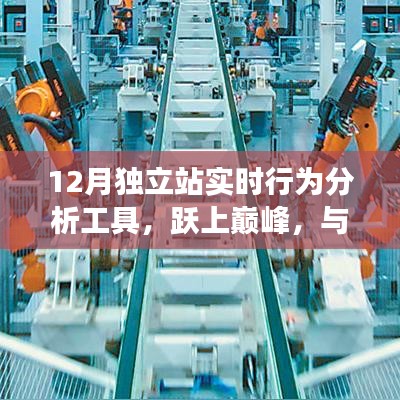 变革奇迹，跃上巅峰的12月独立站实时行为分析工具