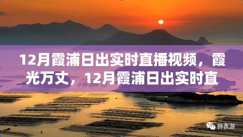 12月霞浦日出实时直播视频，霞光万丈的全面评测与介绍