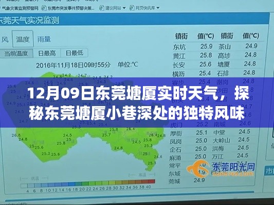 探秘东莞塘厦小巷风味，12月09日实时天气惊喜之旅