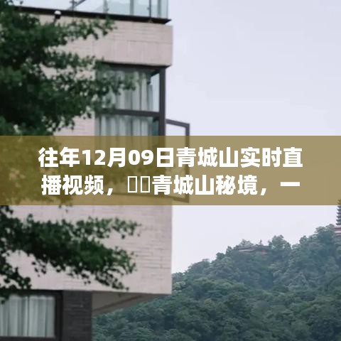 探寻秘境青城山，直播探寻内心平静的奇妙旅程