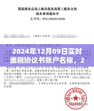 2024年实时缴税协议书账户名称及管理指南