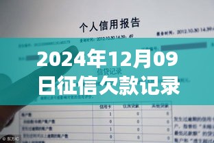 关于征信欠款记录的实时查询流程指南，以2024年12月9日征信欠款记录的实时性解析