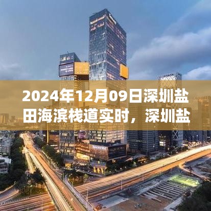 2024年12月09日深圳盐田海滨栈道游赏完美攻略与实时体验