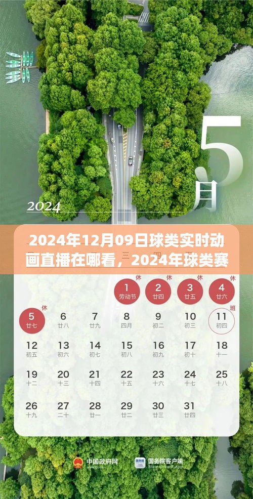 2024年球类赛事实时动画直播观看指南，轻松掌握观看流程