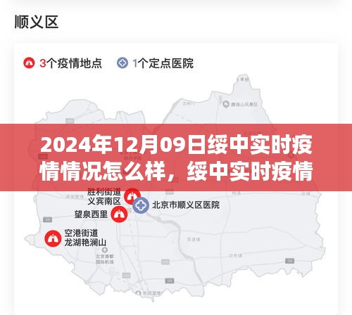 绥中实时疫情报告，聚焦2024年12月09日的详细分析与讨论