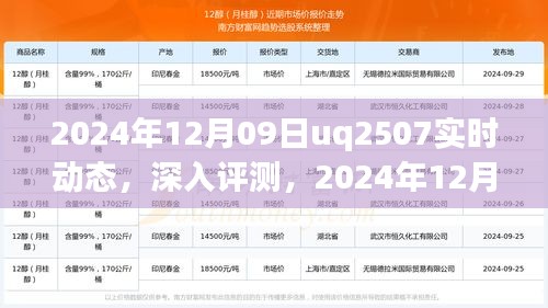 独家评测，2024年12月09日uq2507实时动态深度解析