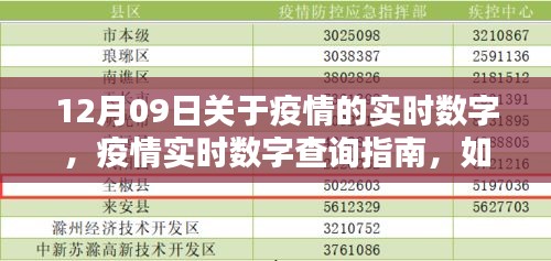 12月09日疫情实时数字指南，轻松掌握最新动态与查询方法