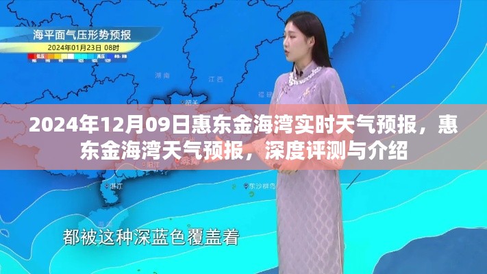 惠东金海湾天气预报深度解析，最新实时气象信息及全面介绍（2024年12月9日）