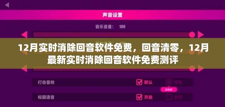 最新实时消除回音软件测评，免费回音清零功能体验分享