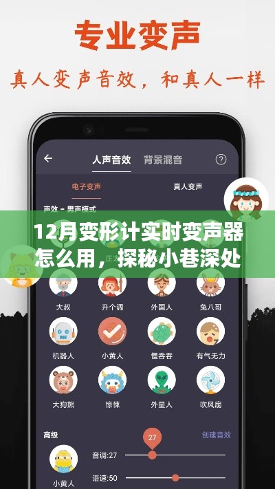 揭秘，12月变形计实时变声器的使用指南与神奇魅力探秘小巷深处的声域变化故事