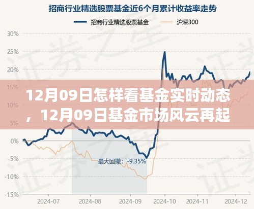 解读基金市场风云再起，实时动态分析与行业洞察