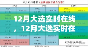 12月大选实时在线，全面评测与详细介绍