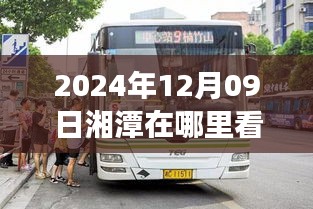 2024年湘潭实时公交车查询指南，如何便捷查看公交车到站信息及湘潭实时公交查询地点