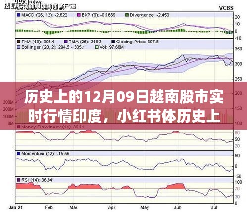 历史上的12月09日越南股市与印度股市风云实时行情解析