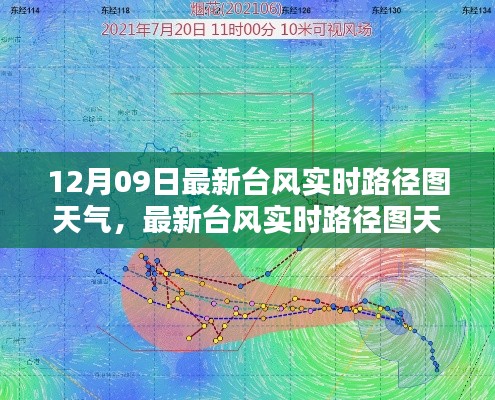 最新台风实时路径图分析，天气动态与观点探讨