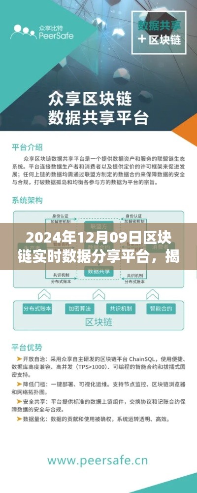 揭秘小巷深处的宝藏，区块链实时数据分享平台独家体验（2024年12月09日）