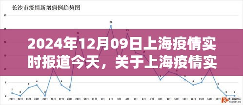 2024年12月09日上海疫情实时报道获取指南，初学者如何轻松获取最新信息