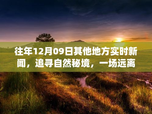 追寻自然秘境，一场远离尘嚣的心灵之旅，历年十二月九日实时新闻回顾