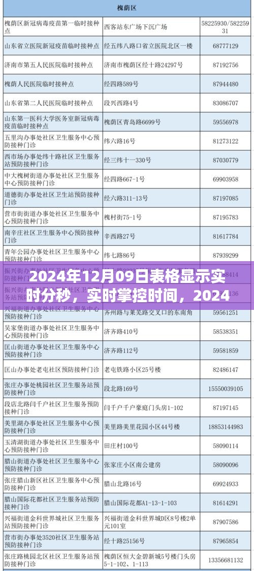 实时掌控时间，2024年12月09日表格显示实时分秒产品评测与详细介绍