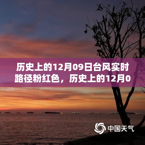 历史上的12月09日台风粉红色路径追踪实录与技能掌握