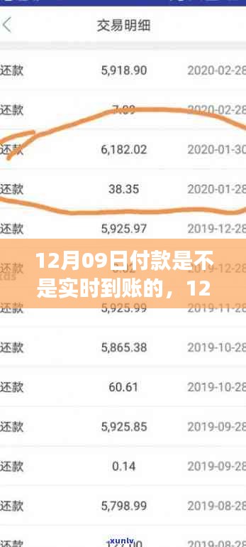 12月09日付款实时到账详解，性能评测与深度剖析