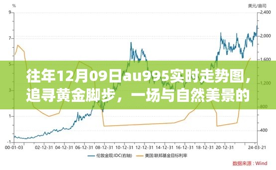 往年12月9日Au995黄金走势图，与自然美景的邂逅，领略背后的宁静时光