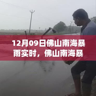 佛山南海暴雨事件，正反观点碰撞与个人立场探析