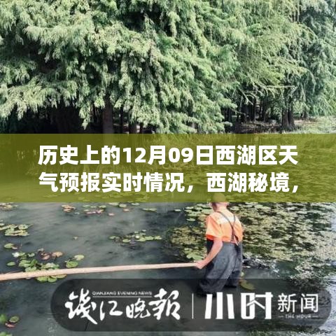 历史上的12月9日西湖区天气预报下的心灵之旅，实时天气与秘境探索