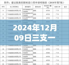 跃动未来，2024年三支一扶六月政策下的成长之路