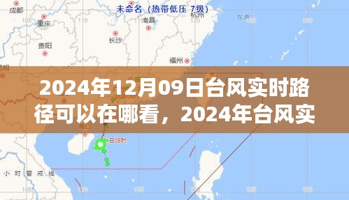 2024年台风实时路径观测平台深度解析及查询指南