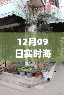 12月09日海边风情探秘，高清转场图片之旅