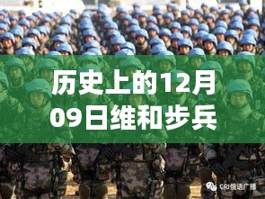 揭秘历史上的维和步兵营收视率背后的故事，十二月九日实时数据大揭秘