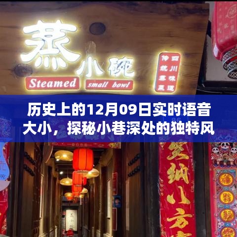 探秘历史小巷深处的语音大小特色小店，12月09日的独特风味