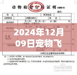 革命性宠物托运体验，2024年宠物飞机托运智能实时动态图系统介绍及实时动态图展示