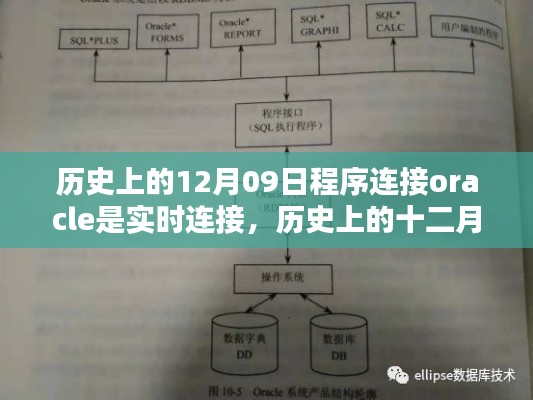 历史上的十二月九日，Oracle数据库实时连接的诞生及其深远影响