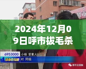 呼市拔毛杀夫事件全程追踪与应对步骤指南，实时报道及最新进展（2024年12月9日）