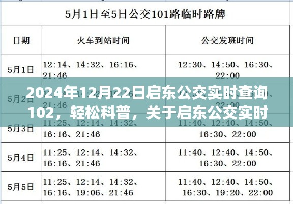 2024年启东公交实时查询系统详解，以公交查询为例轻松科普