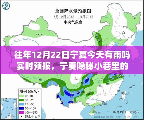 宁夏隐秘小巷诗意小店，雨中之韵与味蕾奇遇的探寻实时预报