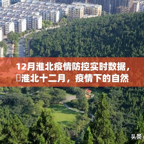 淮北疫情防控实时数据与疫情下的自然探索之旅，寻找内心的宁静与力量