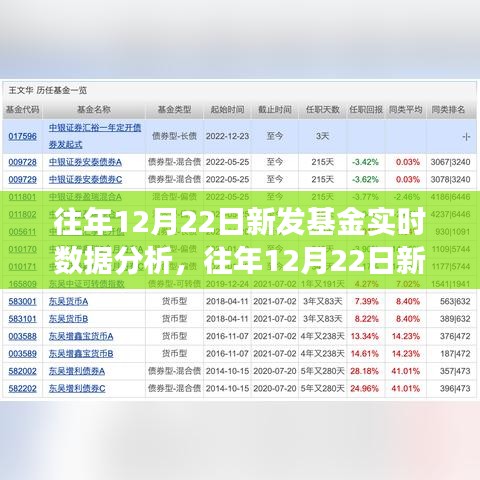 往年12月22日新发基金实时数据分析报告，特性、体验与目标用户洞察评测