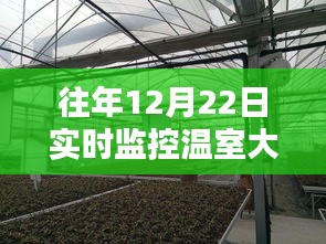 温室大棚实时监控技术揭秘，往年12月22日视频监控揭秘与温室大棚视频监控分析