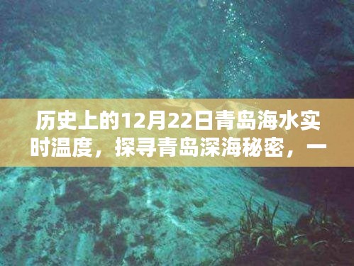 探寻青岛深海秘密，历史海水温度揭秘与隐藏小巷的特色小店介绍