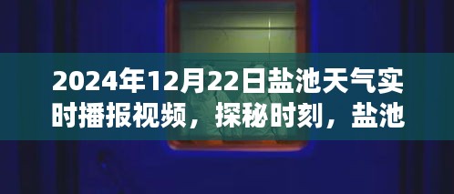 盐池隐秘小巷特色小店探秘与天气实时播报视频，盐池县天气预报播报时间（XXXX年XX月XX日）