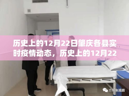 历史上的12月22日肇庆各县疫情动态回顾与洞察，实时疫情数据深度解析