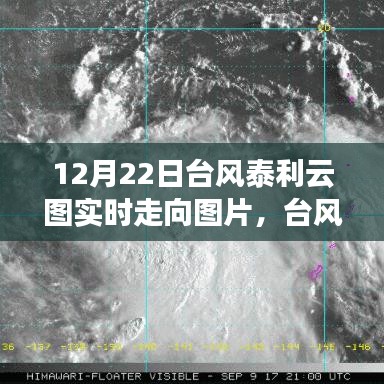 台风泰利云图动态监测与深度分析的综合体验，实时走向图片追踪系统报道