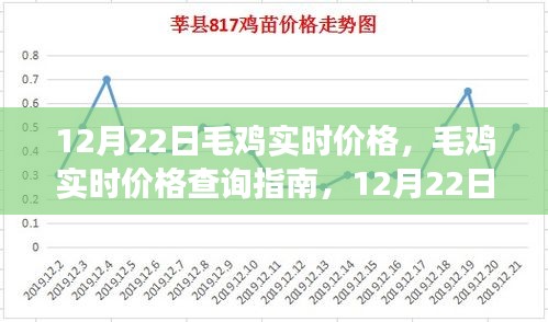 12月22日毛鸡实时价格查询指南，获取准确信息的途径